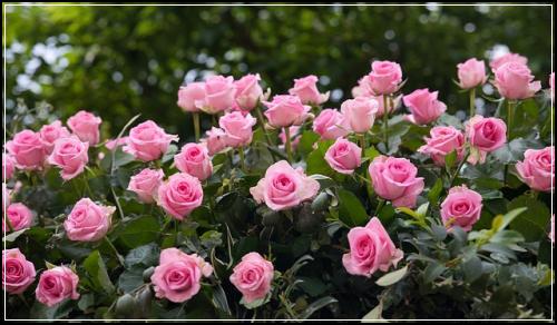 ์ธํฐ๋ท์๋์ฐจ๋ณดํ ์ ๋ฌธ๋น๊ต ๊ฟํ ์ดํด๋ณด๊ธฐ