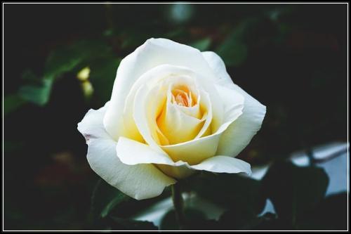 ์์ด๋ณดํ ๋ฒ ์คํธ๋ถ์ ์ฐธ๊ณ ๋ฐ๋ ์ค๋น์ํ๋์