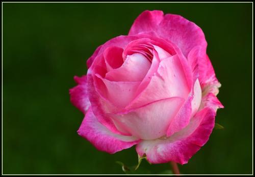 ์๋์ฐจ์ข
ํฉ๋ณดํ๋ฃ ์ฌ๊ธฐ์
๋๋ค ๋ถ์์ถ์ฒ