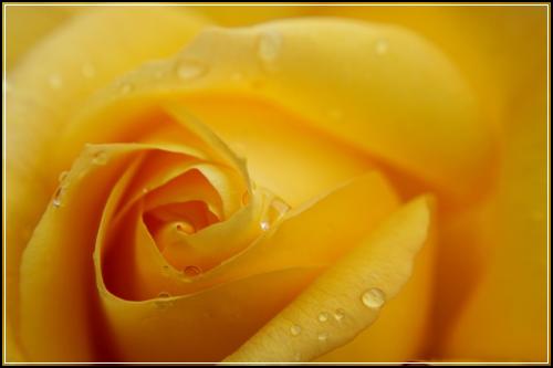 28세자동차보험 확인필요  챙겨받아요