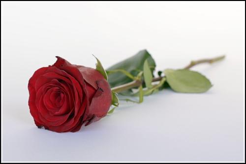 ์๋ณดํ ํต์ฌ์ฒดํฌ ์ข ์ฌ์ฑ์ค๋น