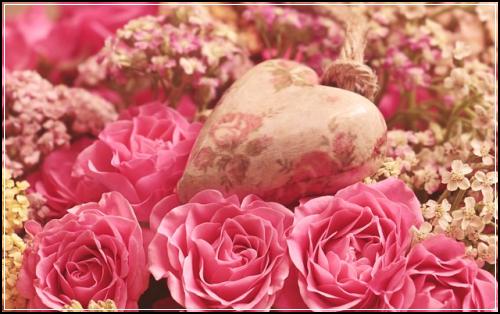 ์ฌ์ดํธํ์๋ณดํ์ด๋๊ฐ ๋ถ์ํด๋ด์