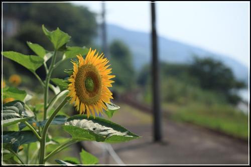 저렴한상해보험 간편한가입  바로보기
