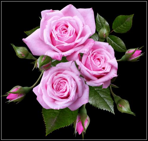 ์๋ก ๋์จ ์ค๋ฒ์๋ณดํ ์งํ๋ก์ด