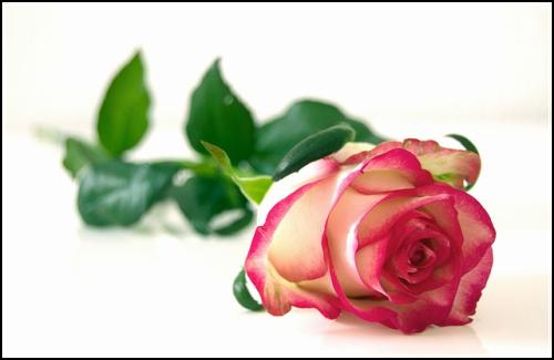 ๋ถ๋ถ์๋์ฐจ๋ณดํ ํ์คํ์ถ์ฒ ์์ ํ๊ฒ