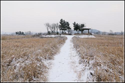 차량보험료비교 절감하자 알고가자