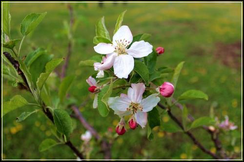 ํ ์ต ๋ฌธ์ ์ ๋ฆฌ ํ ์ต ์ง์ค๋ ฅ ์ ์ง : ํ ์ต ๋ฌธ์ #86