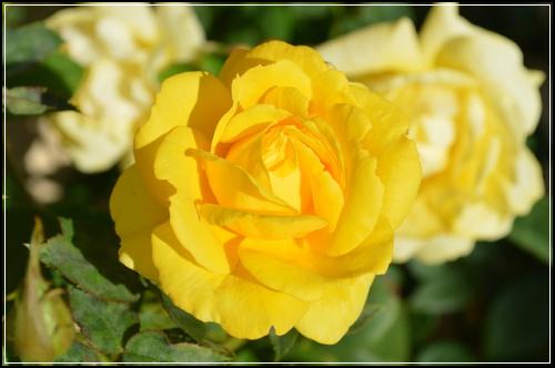 ์ฐจ๋ณดํ ๋ฐ๋๋ฐฉ๋ฒ์ ์ฐธ์ ๋น๊ต