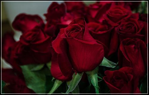 ์๋์ฐจ๋ณดํ๊ฐฑ์ ์ผ ์ ์ฝํ๋ ๊ฐ๋จ๋น๊ต