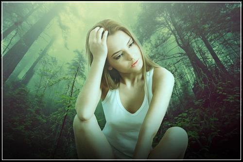 ํ๋ฆฌ๋์คํฌ์์ ํ ์ํด ๋ณดํ ์ถ์ฒ์ํ์