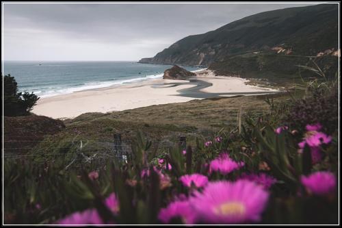 별빛