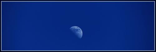 ๋ฉ๋ฆฌ์ธ ์๋ณดํ ์ฌ๋ฟ์ ํ ์ ์งํด์ผ ํ ๊น์