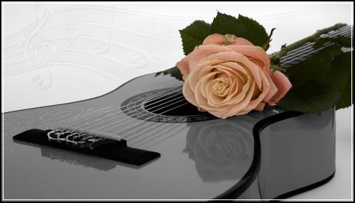 ์ธํฐ๋ท์๋ณดํ ์ญ์ฌ์ฌ๊ธฐ ๊ฒฌ์ ์ ๋ณด