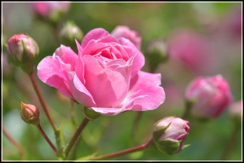 ๋๋ถ ๊ฐ์กฑ์ํ ์ข
์ ๋ณดํ ํํ์ฒดํฌ ๊ฐ์