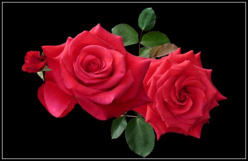 ์๋์ฐจ๋ณดํ์์์์ ์์์ผ์ฃ ๋น๊ตํ์