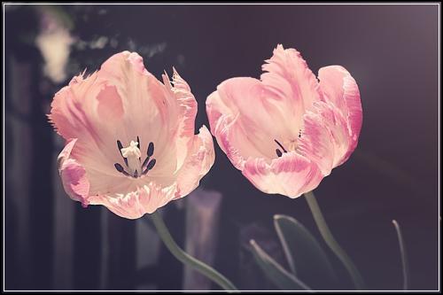 ์ํด๋ณดํ์ค๋น๋ณดํ ๋์คํฌ ๋๋นํ๊ธฐ