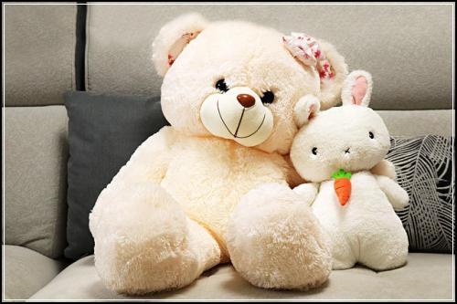 사고로자동차보험안들어주네요 요령정리