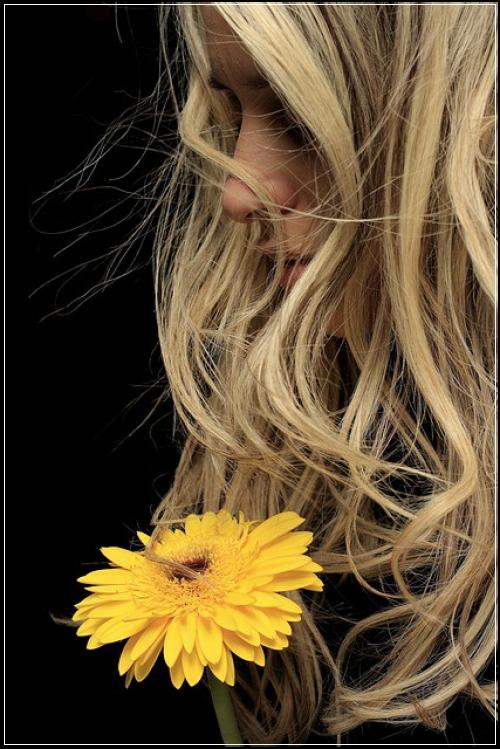 직장인종신보험이랑 일반 신중한선택