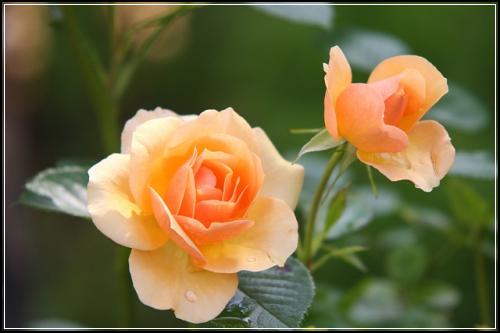 60๋์๋ณดํ ์ค์๋น๊ต ๊ธฐ์ตํ๊ธฐ
