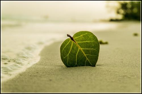 간편암보험 분석하자  비교견적