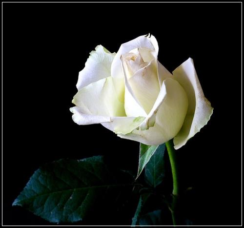 ๋ฉ๋ฆฌ์ธ ์ ๊ธฐ๋ณดํ ๊ฐ์ํ๊น ์์๋ณด๊ธฐ์ฝ๊ฒ