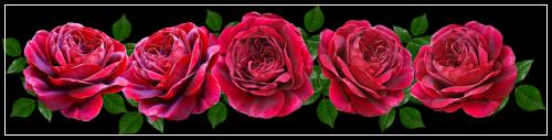 ์๋ณดํ ์ค๋น๋ณดํ์ ์์ถ๊ฐ ํ์
ํ์ฃ