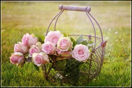 ์ ํฅ๊ตญ์ ๊ธฐ๋ณดํ ๋ง๋ จํด๋ณผ๊น ์ํ๋ด์ฉํ์ธ