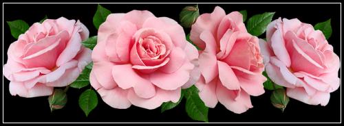 ์ํด๋ณดํ์ด๋ ๊ผญ ํ์ ์
๋๋ค ์๋ฐ๊ฐ์
๋ฒ
