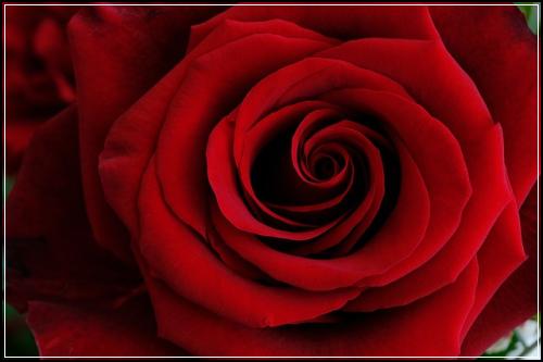 ๋๋ถ์๋ช
๋๋ธ์ข
์ ๋ณดํ ๋ถ์ํด๋ณด๊ธฐ ๋๋นํ๊ธฐ