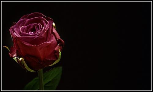 ์ฐธ์ข์ ์ํด๋ณดํ ์๋ฐํ๋ ๊ผญํ์ํ ๊น