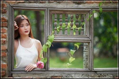 메트라이프정기보험 확실한구성  먼고어