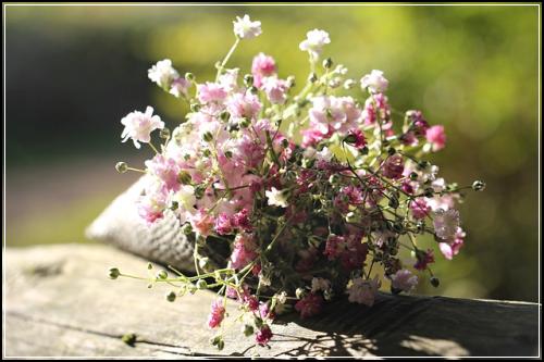 lig암보험 알아보와요  보장