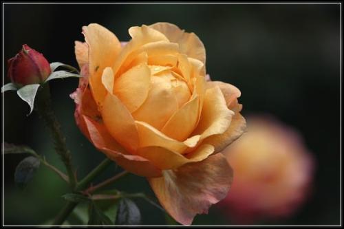 ์ข
์ ๋ณดํ์ ํน์ฝ์ ๋ํด์ ์ข ํต์ฌ์ด์ ๋ฆฌ