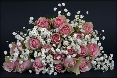 ์๋์ฐจ๋ณดํ์ธํฐ๋ท๊ฒฌ์ ์ธ๊ธฐ๋ง์ ์ฌ์ด๋น๊ต