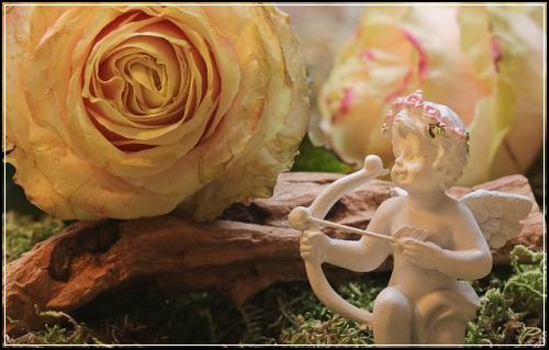 ์ ์ฐจ์๋์ฐจ๋ณดํ ๋น ๋ฅด๊ฒ์ฒดํฌ ๋น ๋ฅธ๋์ฒ