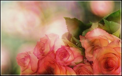 ์ ํ ์ฌํฐ์น ์ํด๋ณดํ ๊ณต์ ํด์ ์ด๊ณณ์์