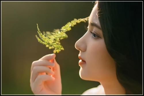 다이렉트정기보험 중요부분  추요 월버전