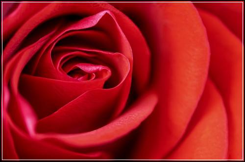 ํ์๋ณดํ ์ค๋ช
๋ฐ๊ธฐ ๋น๊ตํด๋ณด๊ธฐ ํ์๋ฉ๋ฆฌ์ธ