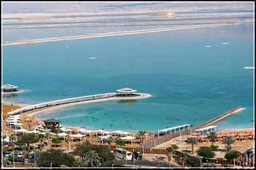 νμ보ν νμνμ ν μ€λΉ λ μ¬μ₯ ꡬμ±