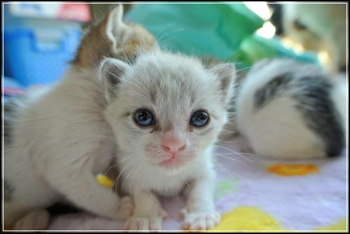 ๋๋ํ ์๋ณดํ ๊ผผ๊ผผํ๊ฒ ์ฒดํฌํด๋ณด์ธ์