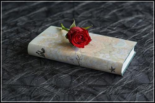 질병상해보험 판단해야  싸게알아보기
