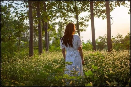 연장정기보험과 상세설명