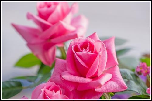 ์ ๊ธฐ๋ณดํ ๊ณต์ ํด์ ํ์ํ ๋ ์๋ดํด๋ณด๊ธฐ