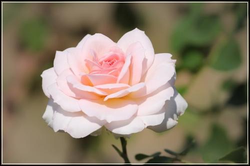 ๋๋ธํ๋ฌ์ค ์ข
์ ๋ณดํ ์ผ์ค์๊ฒ ์ฌํด๋