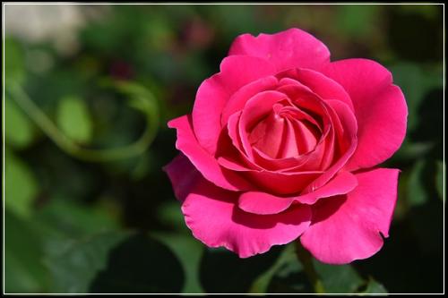 현대생명종신보험 전문가상담  선택을 하세요