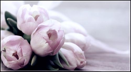 ์๋์ฐจ๋ณดํ๋ฃ๋ฌด๋ฃ๊ฒฌ์ ๊ฐ์
์์ ํธํ๋ค๊ตฌ์