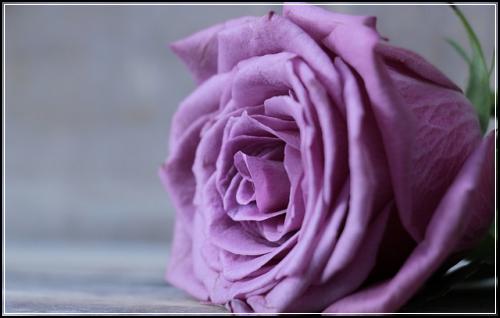 ์ ๊ธฐ๋ณดํ์ฅ์ ํ๋์์ฒดํฌ ์ ๋ฌธ๋์