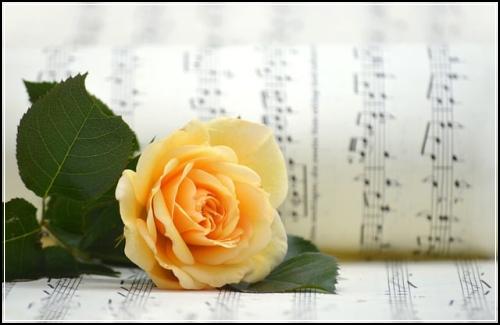 ๋๋์์๋ณดํ ๊ฒฌ์ ์ด ํ๋ฒ์ ์ฅ์ฅ