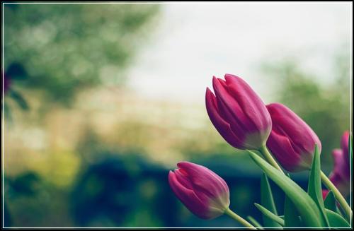 손해보험암보험 기억하세요 선택지는