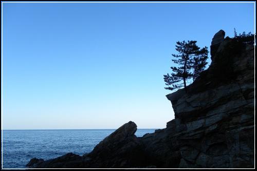 자동차보험싼곳 꿀팁보기 절약하세요